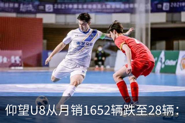 仰望U8从月销1652辆跌至28辆：技术堆满为何换不来百万市场？