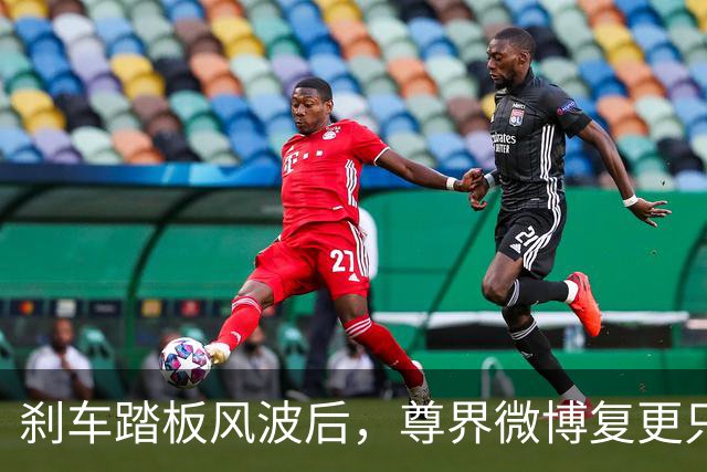 刹车踏板风波后，尊界微博复更只发了组图