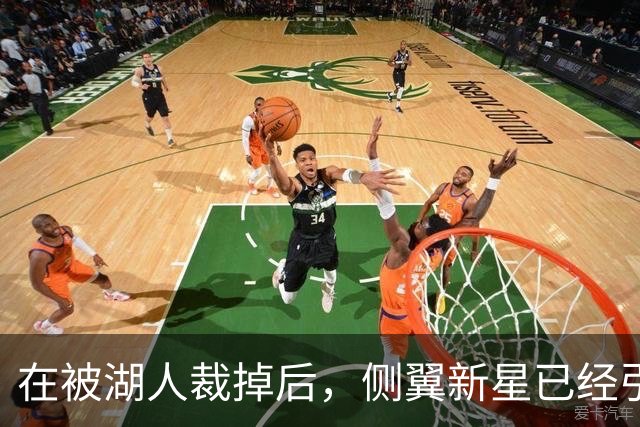 在被湖人裁掉后，侧翼新星已经引起了国王、森林狼和猛龙的关注？