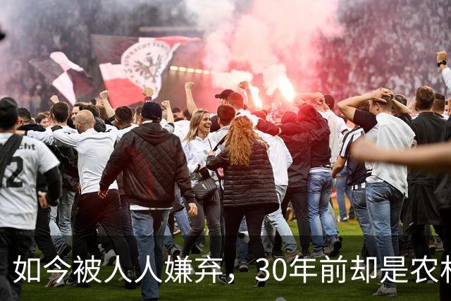 如今被人人嫌弃，30年前却是农村香饽饽，为何如今仍然大量养殖