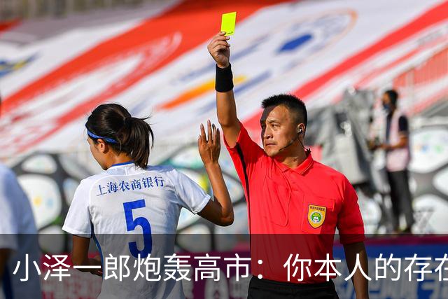 小泽一郎炮轰高市：你本人的存在，就是日本外交的阻碍，字字扎心
