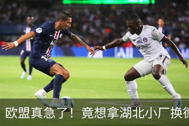 欧盟真急了！竟想拿湖北小厂换德国12人作坊，阿斯麦供应链要断了