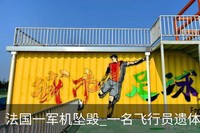 法国一军机坠毁 一名飞行员遗体已被找到