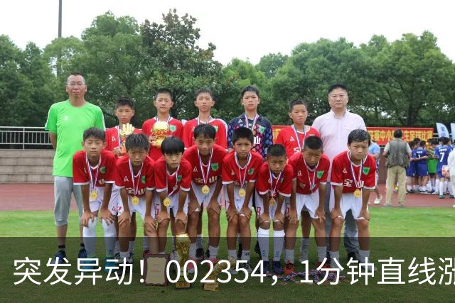 突发异动！002354，1分钟直线涨停！封单超200万手！