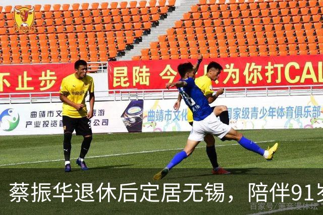 蔡振华退休后定居无锡，陪伴91岁老母亲，日常买菜炖汤，偶尔去少年宫免费教小朋友打球；国际乒联百年功勋奖授予他，他没有亲自赴伦敦领奖