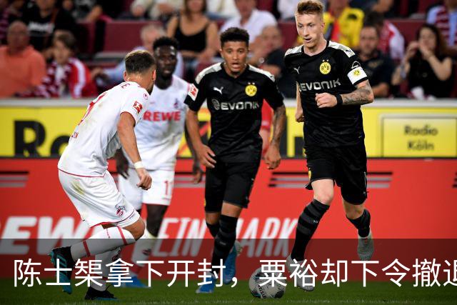 陈士榘拿下开封，粟裕却下令撤退，众人不解，毛主席：粟裕高明啊