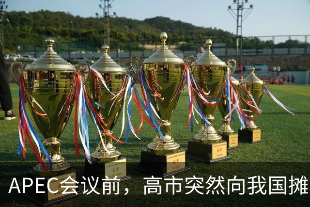 APEC会议前，高市突然向我国摊牌，提及台湾问题，信号非常不简单